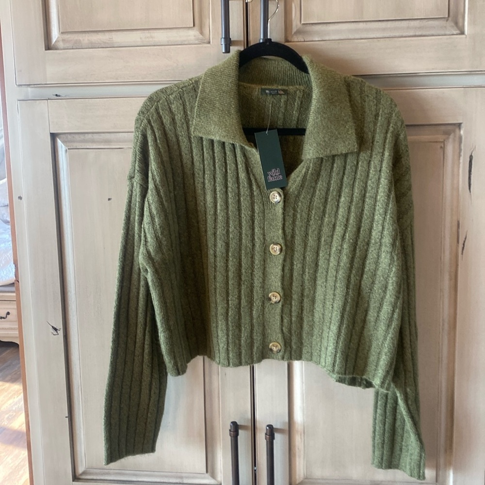 Wild Fable cropped sweater